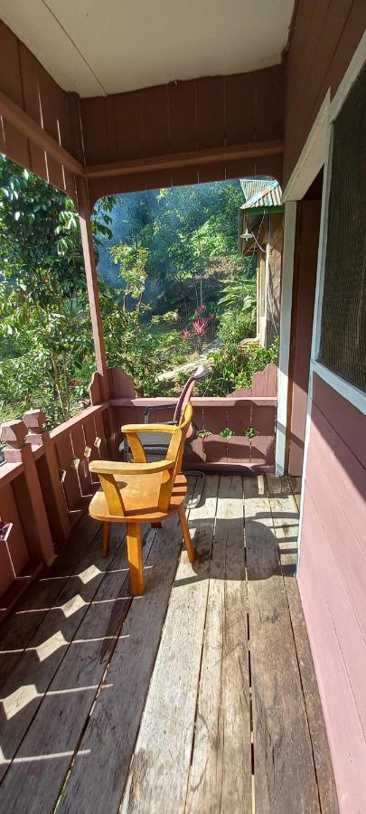 Pak Mus Guest House Ketambe - 0813-7072-1793 Kutacane Eksteriør bilde