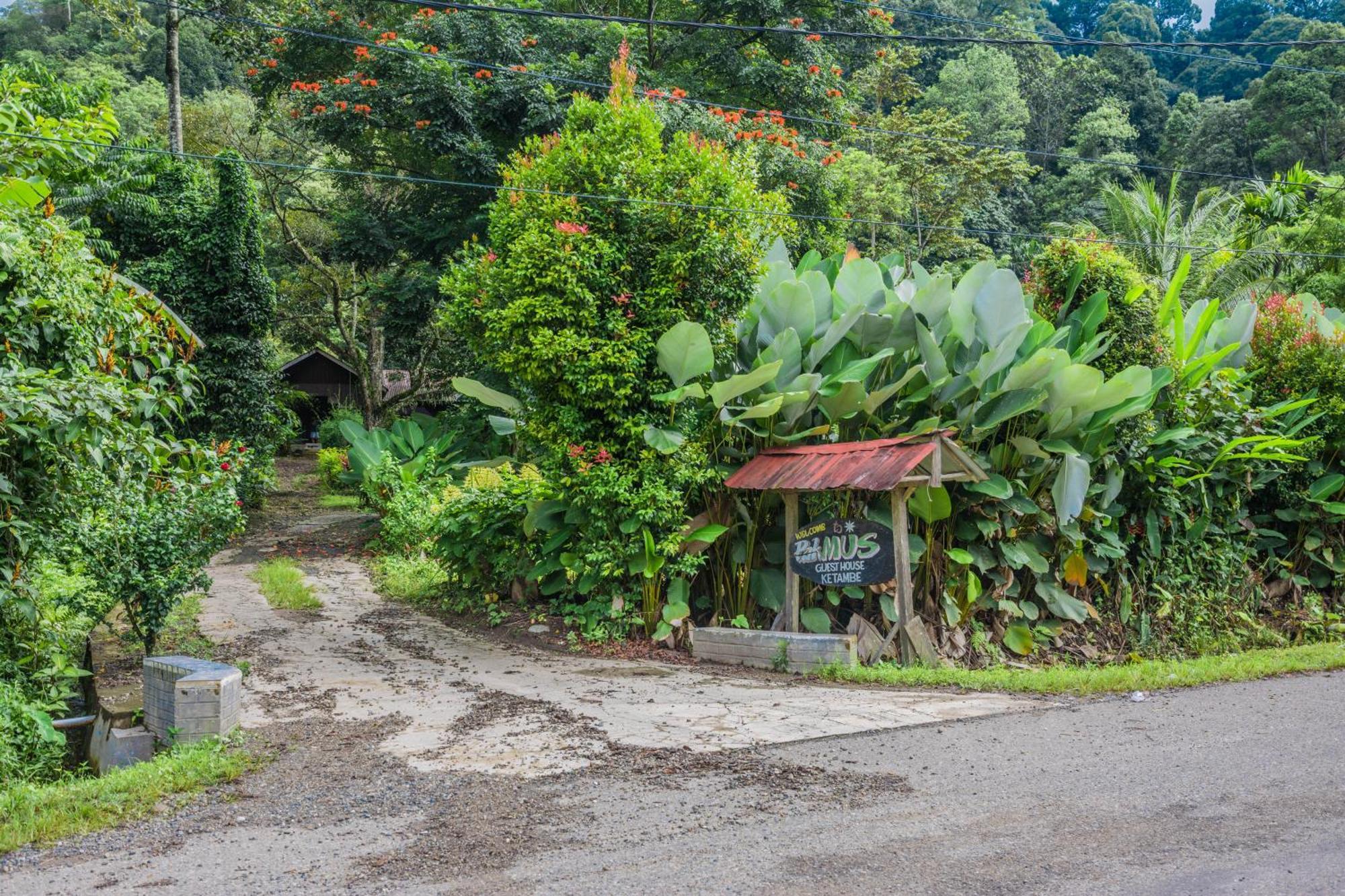 Pak Mus Guest House Ketambe - 0813-7072-1793 Kutacane Eksteriør bilde