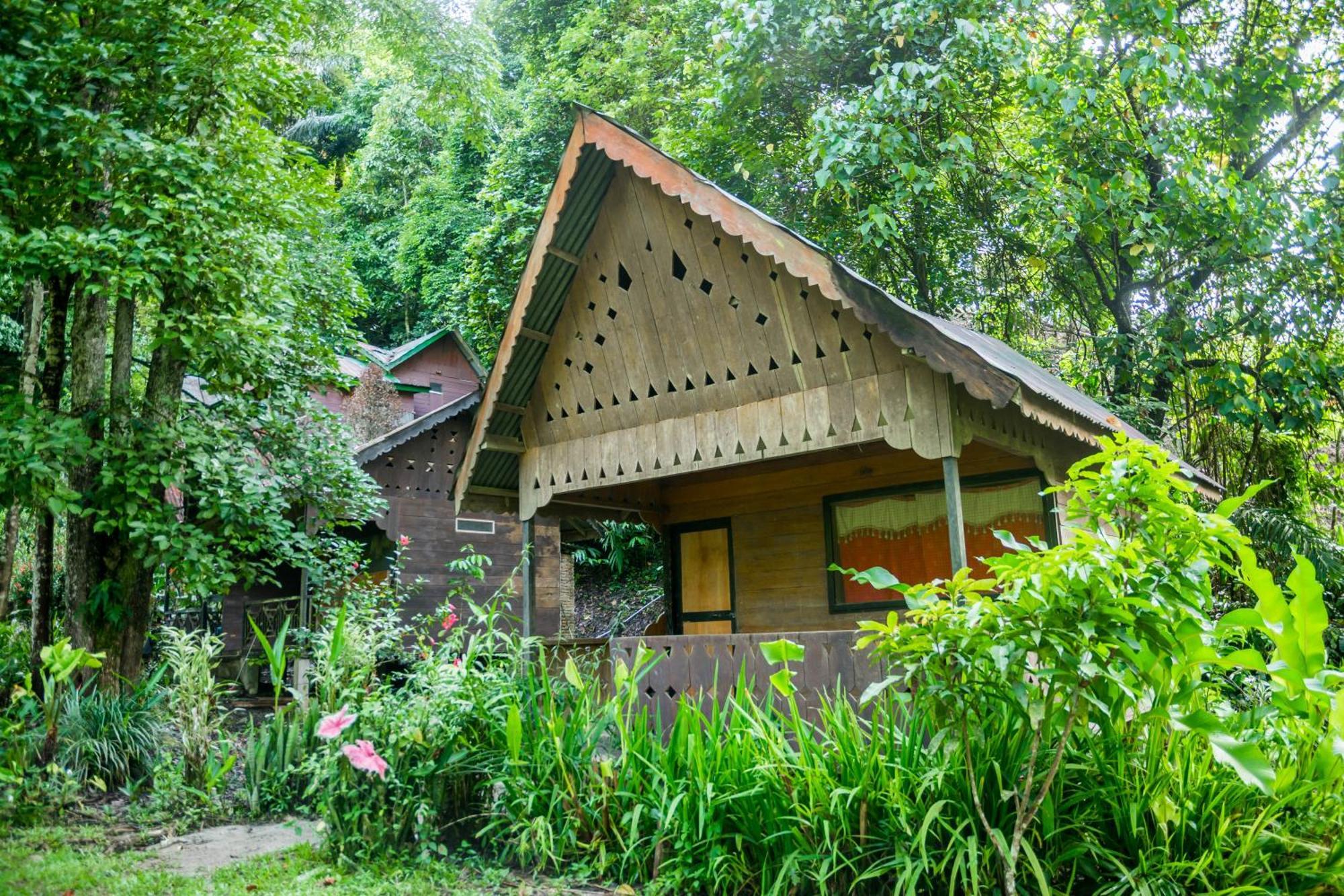 Pak Mus Guest House Ketambe - 0813-7072-1793 Kutacane Eksteriør bilde