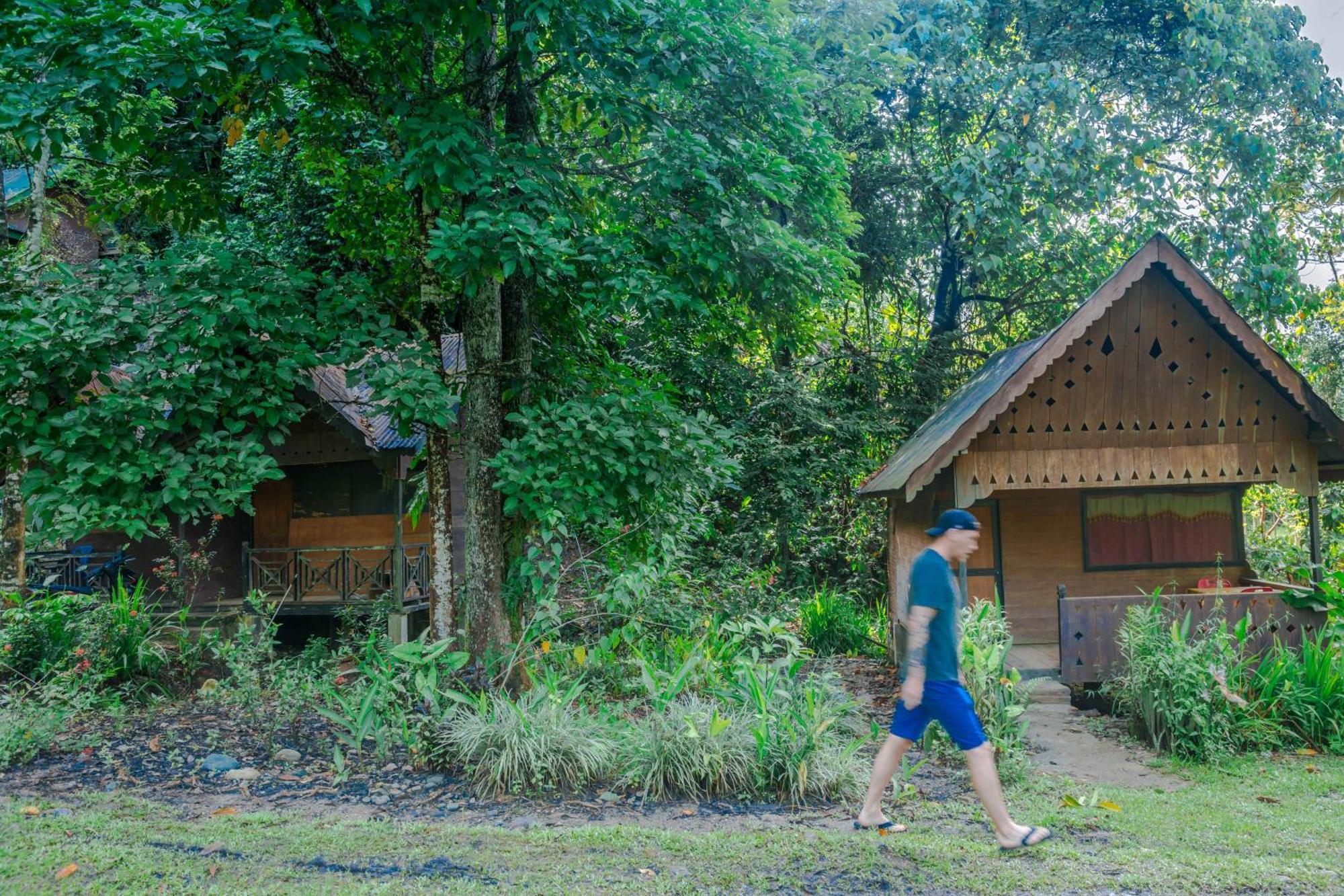 Pak Mus Guest House Ketambe - 0813-7072-1793 Kutacane Eksteriør bilde