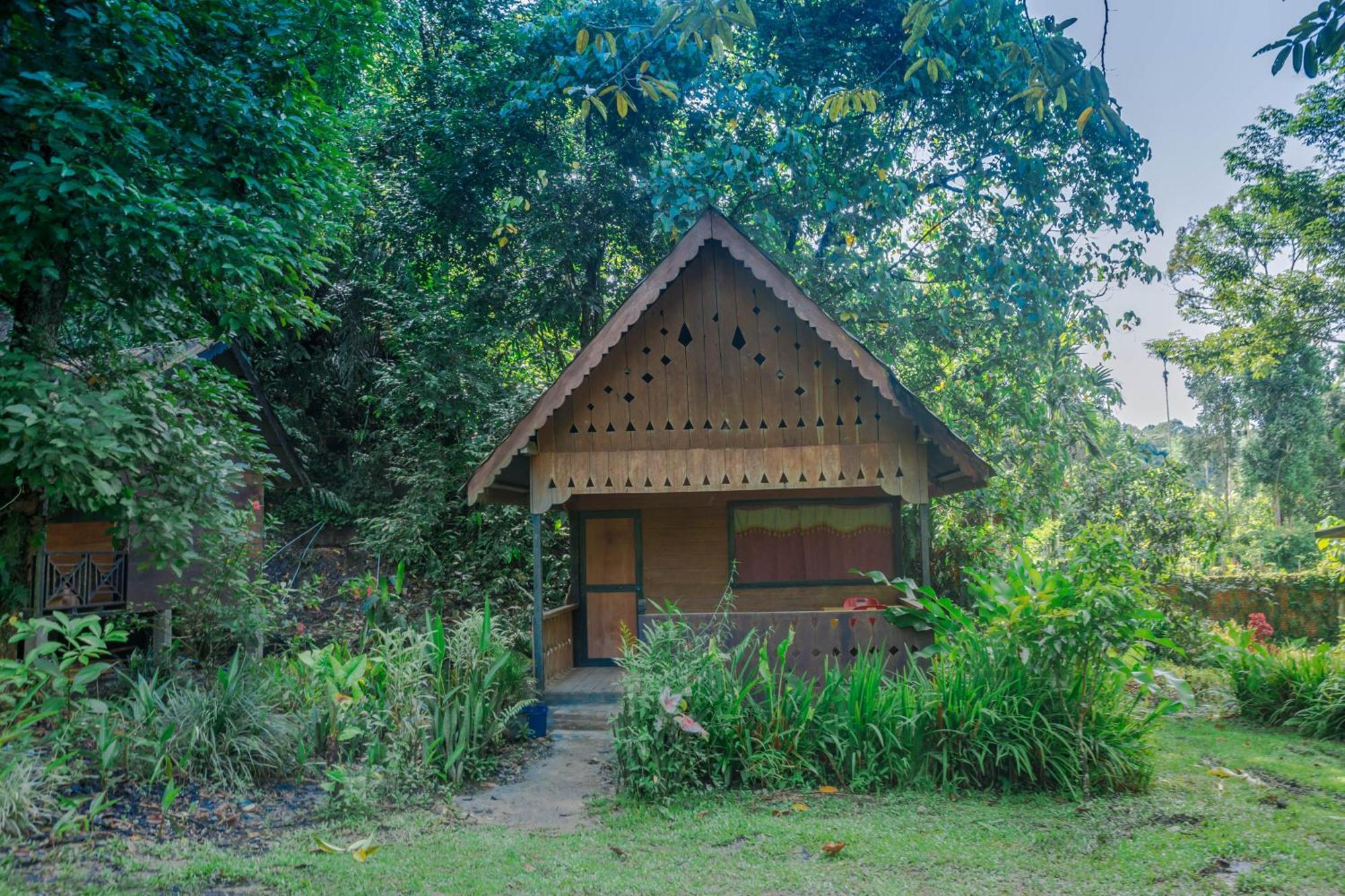 Pak Mus Guest House Ketambe - 0813-7072-1793 Kutacane Eksteriør bilde