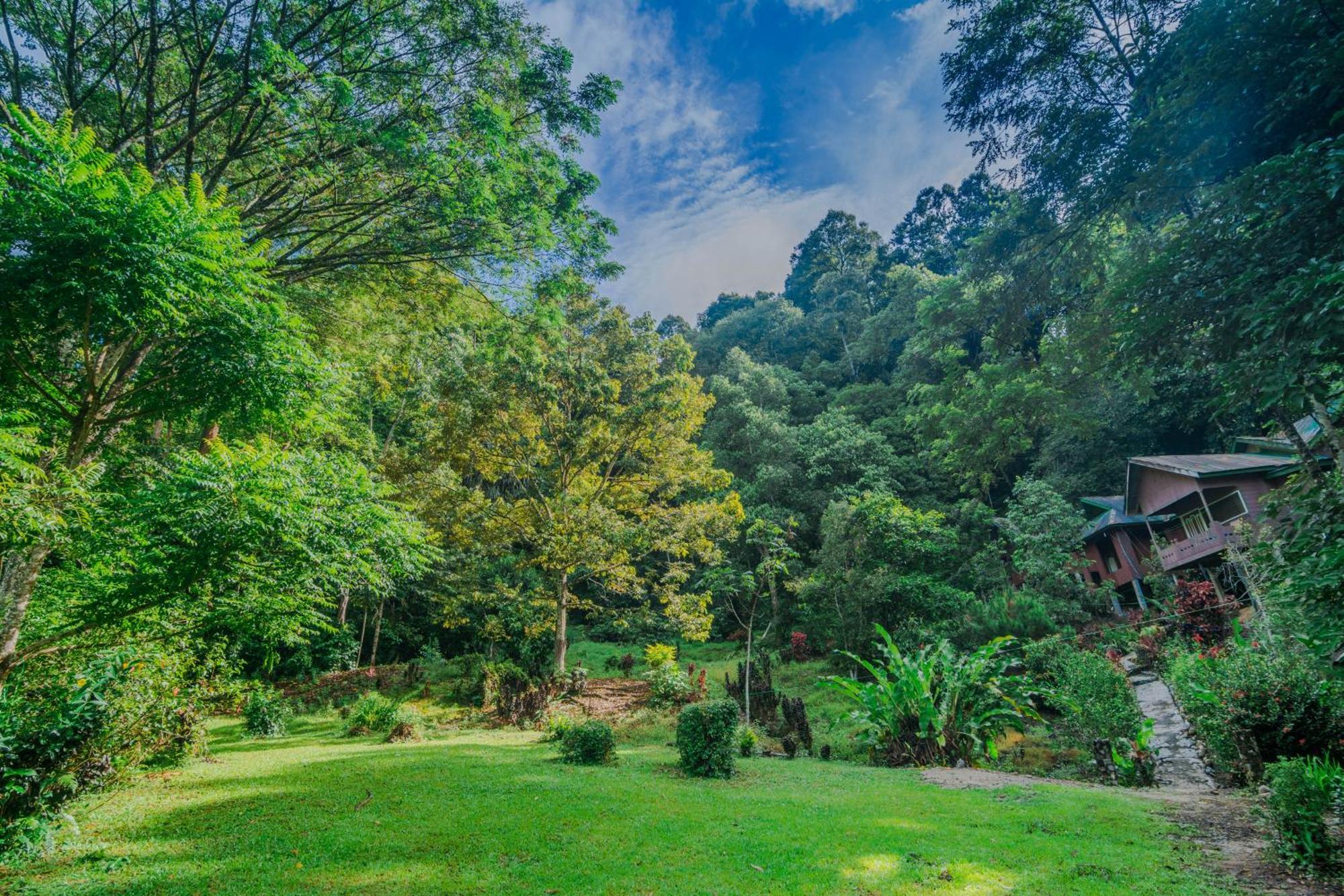Pak Mus Guest House Ketambe - 0813-7072-1793 Kutacane Eksteriør bilde
