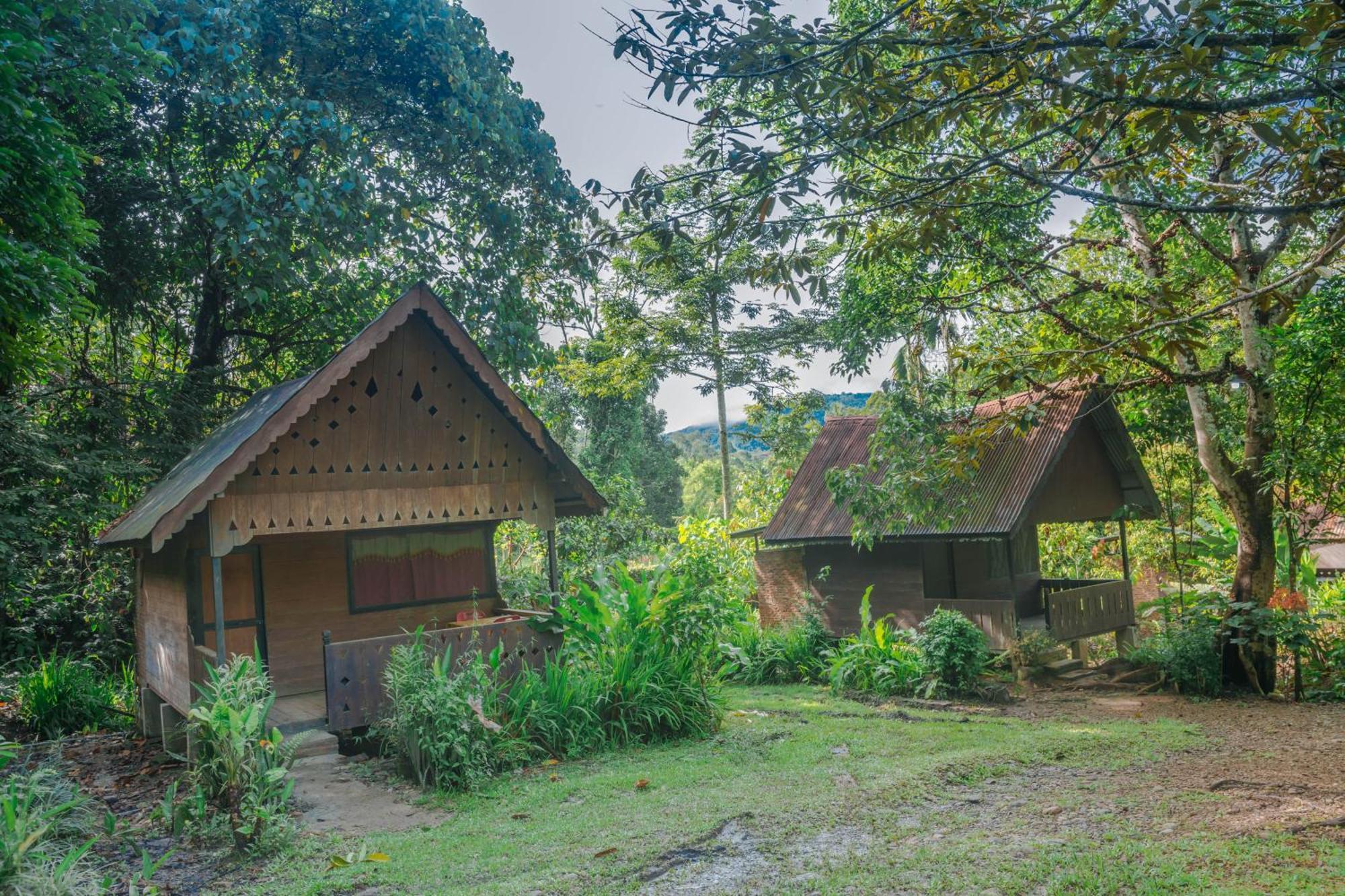 Pak Mus Guest House Ketambe - 0813-7072-1793 Kutacane Eksteriør bilde