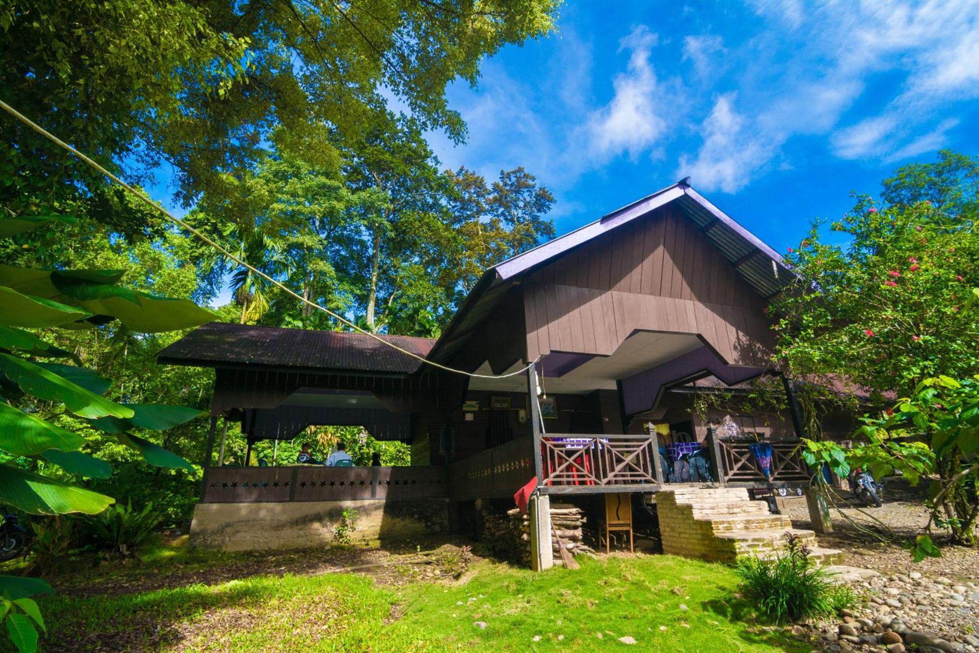 Pak Mus Guest House Ketambe - 0813-7072-1793 Kutacane Eksteriør bilde
