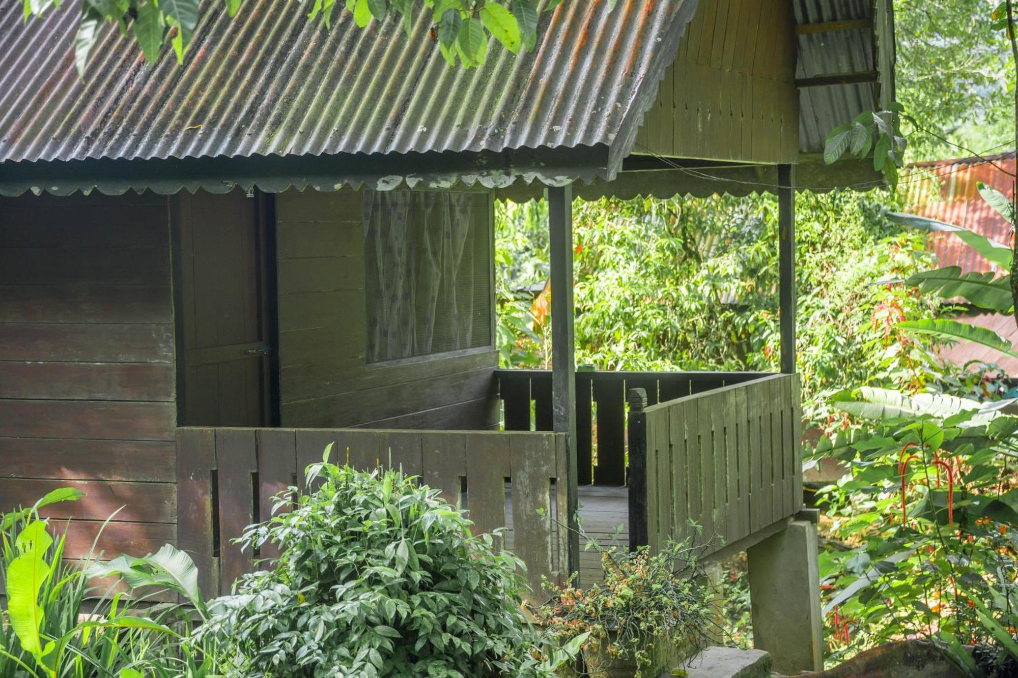 Pak Mus Guest House Ketambe - 0813-7072-1793 Kutacane Eksteriør bilde