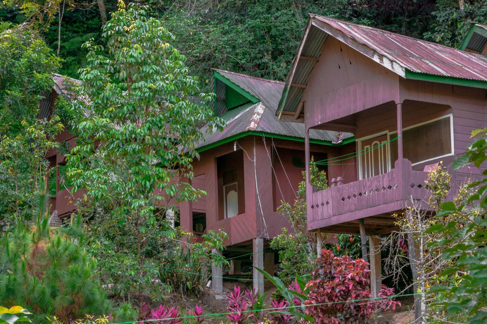 Pak Mus Guest House Ketambe - 0813-7072-1793 Kutacane Eksteriør bilde