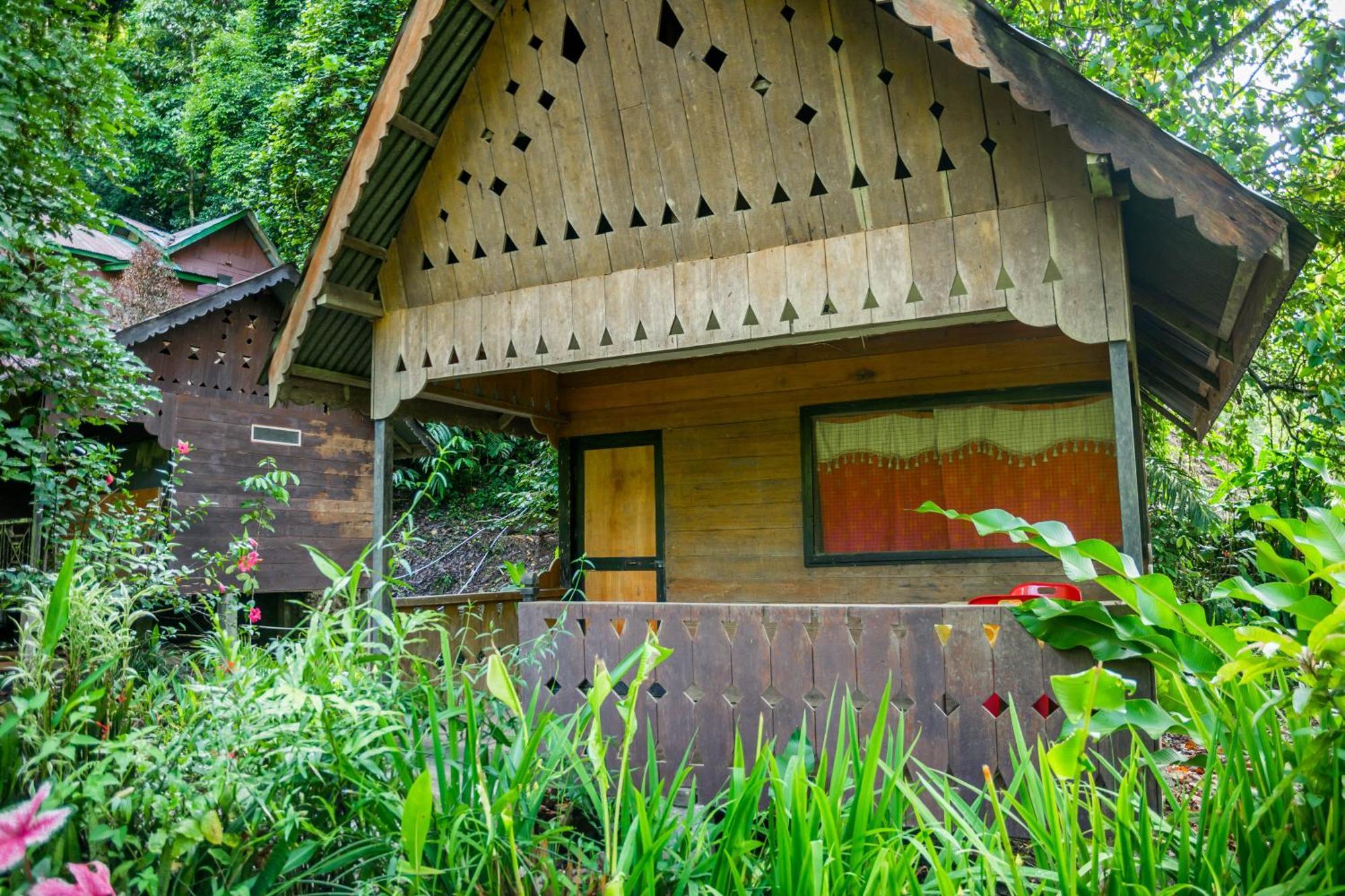 Pak Mus Guest House Ketambe - 0813-7072-1793 Kutacane Eksteriør bilde