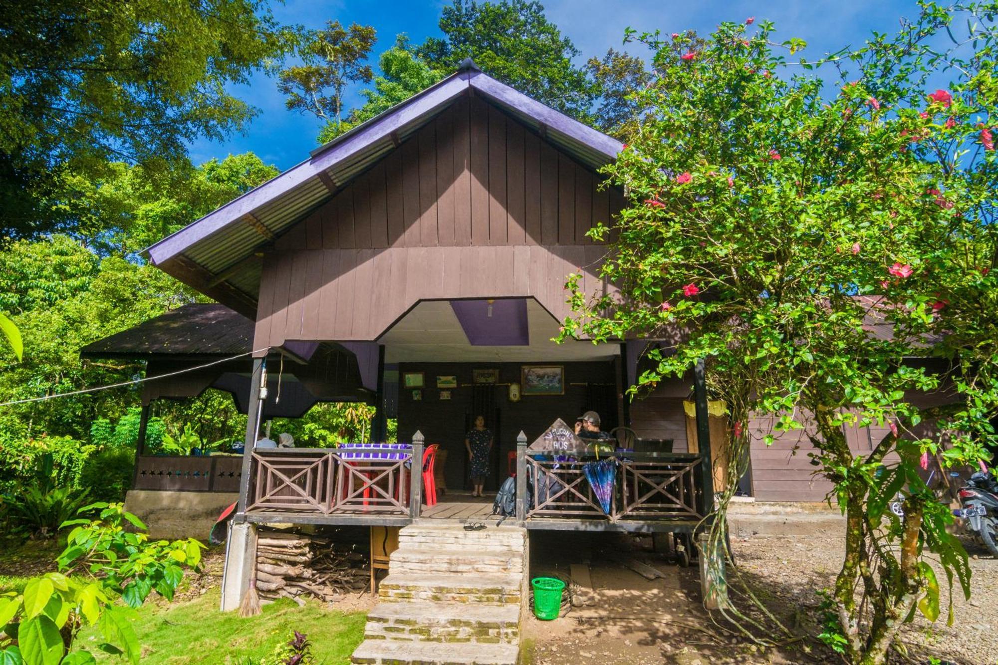 Pak Mus Guest House Ketambe - 0813-7072-1793 Kutacane Eksteriør bilde