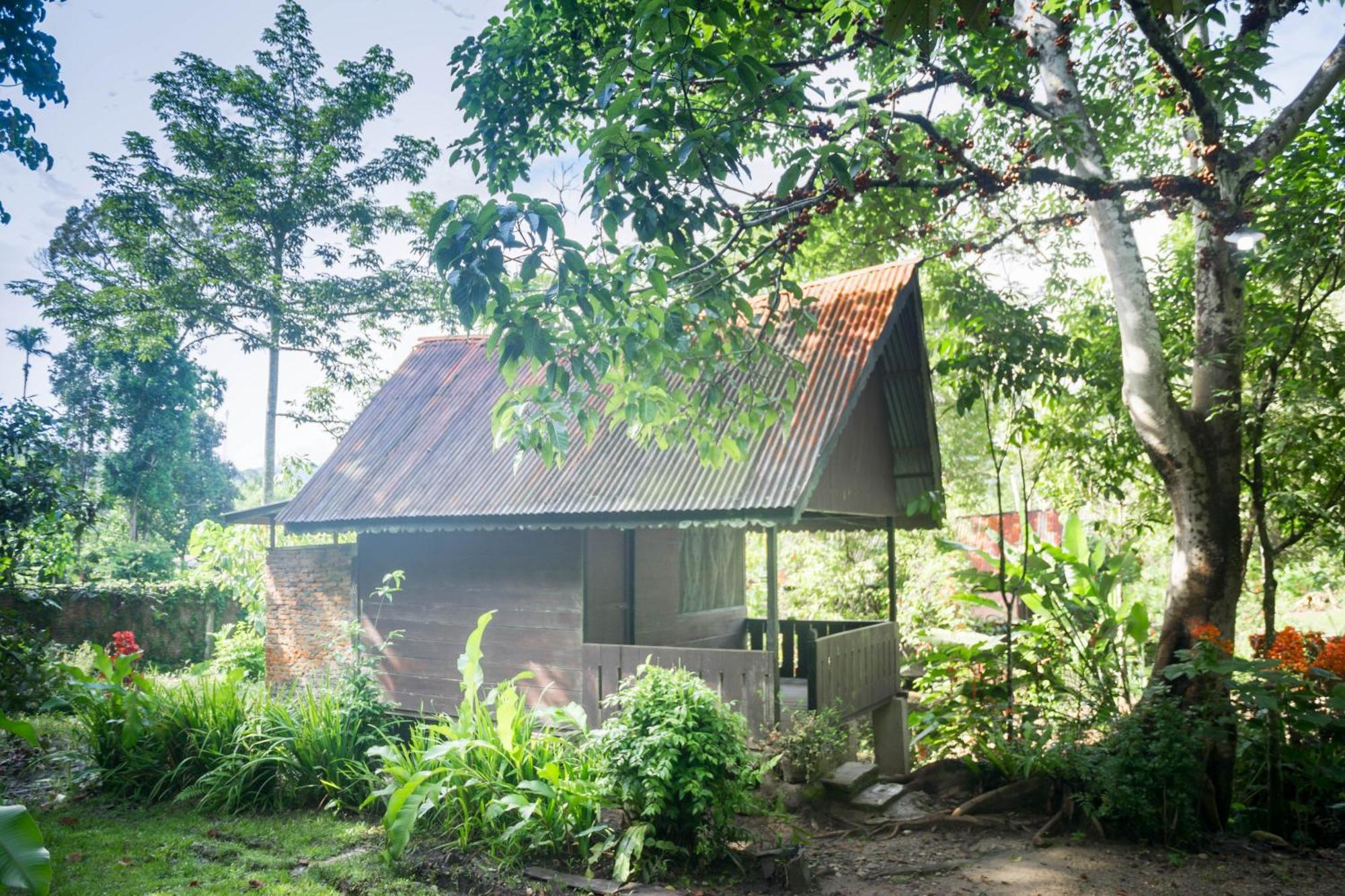 Pak Mus Guest House Ketambe - 0813-7072-1793 Kutacane Eksteriør bilde