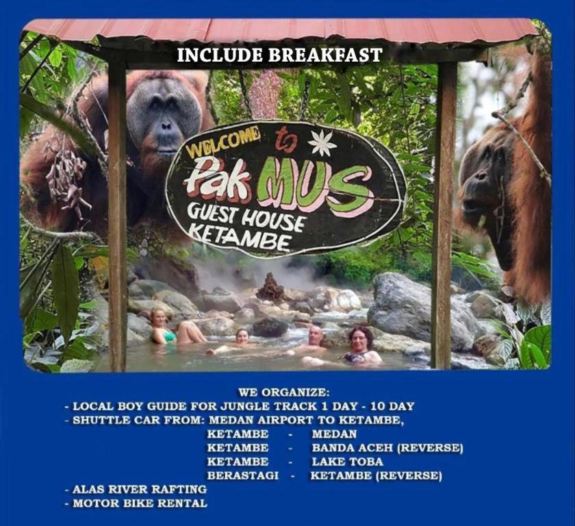 Pak Mus Guest House Ketambe - 0813-7072-1793 Kutacane Eksteriør bilde